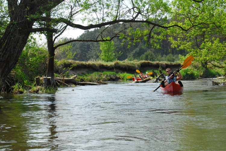 Spokojny kadr z kajakiem na rzece