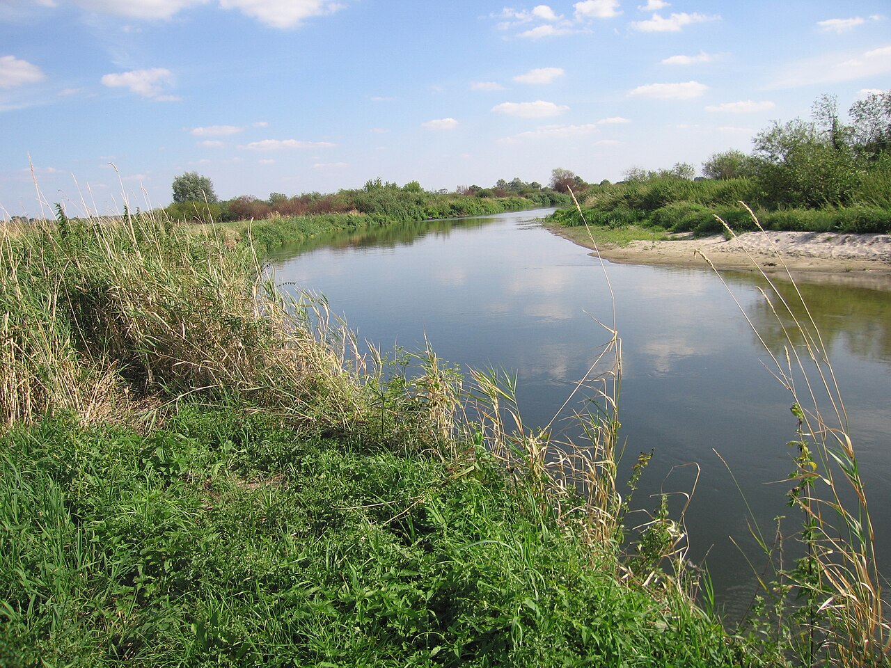 Szeroki krajobraz doliny Nidy