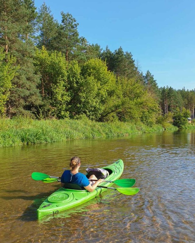 Kajak przy leśnym brzegu